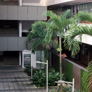 Foto tomada en la Facultad de Ciencias UIS en un plano general donde se puede apreciar los dos primeros pisos de la parte interna del edificio de la facultad.